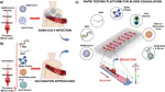 Rapid Detection and Inhibition of SARS-CoV-2-Spike Mutation-Mediated Microthrombosis